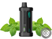 IRON MIKE Tyson 15K Puffs Disposable Cool Mint