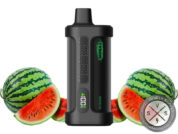 IRON MIKE Tyson 15K Puffs Disposable Watermelon