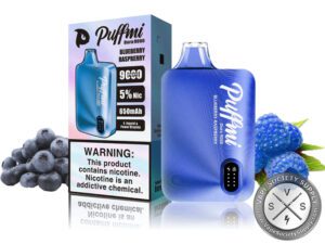 Puffmi Dura 9000 Puff Disposable Blueberry Raspberry