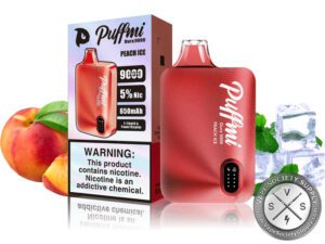 Puffmi Dura 9000 Puff Disposable Peach Ice