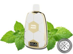 Ronaldinho 15K Puffs Disposable Cool Mint