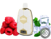 Ronaldinho 15K Puffs Disposable Frozen Raspberry