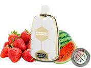 Ronaldinho 15K Puffs Disposable Raspberry Watermelon