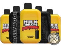 Hulk Hogan Disposable Vape _ 8000 Puffs