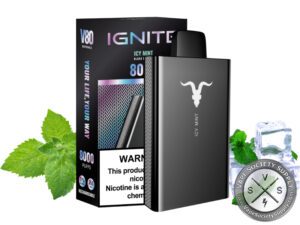 IGNITE V80 Disposable 8000 Puffs Icy Mint