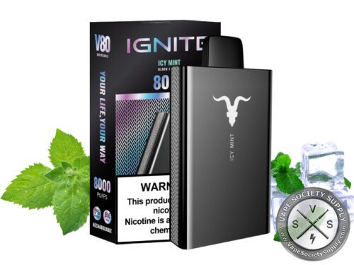 IGNITE V80 Disposable 8000 Puffs Icy Mint