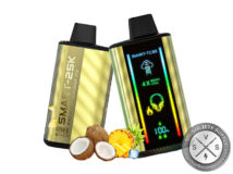 Onee Stick SMART-TC25K Puffs Pineapple Coconut Ice