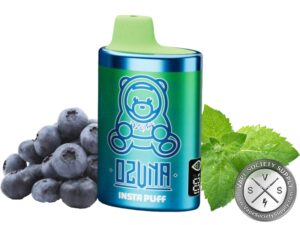 Ozuna Insta Puff 15000 Puffs Disposable Blueberry Menthol
