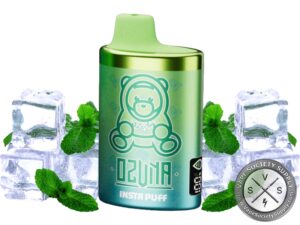 Ozuna Insta Puff 15000 Puffs Disposable Cool Mint