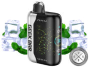 Geek Bar Pulse X 25k Disposable Miami Mint