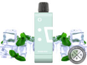 Off-Stamp SW9000 Vape Disposable Miami Mint