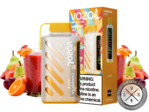 VOZOL GEAR POWER 20000 DISPOSABLE VAPE Caribbean Juice