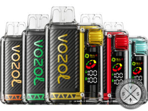 VOZOL VISTA 16000 DISPOSABLE VAPE