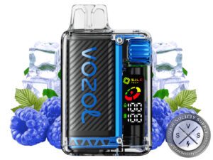 VOZOL VISTA 16000 DISPOSABLE VAPE Blue Razz Ice
