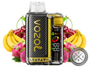 VOZOL VISTA 16000 DISPOSABLE VAPE Dragon Fruit Banana Cherry