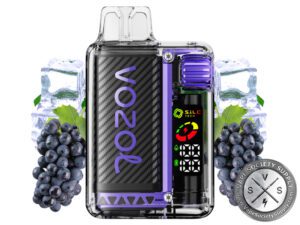 VOZOL VISTA 16000 DISPOSABLE VAPE Grape Ice