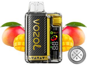 VOZOL VISTA 16000 DISPOSABLE VAPE Mexican Mango