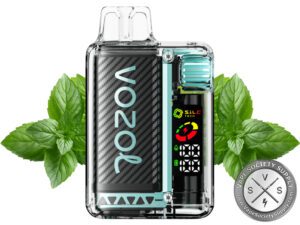 VOZOL VISTA 16000 DISPOSABLE VAPE Miami Mint