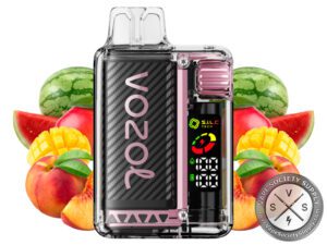 VOZOL VISTA 16000 DISPOSABLE VAPE Peach mango watermelon