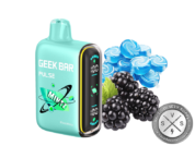 Geek Bar Pulse 15000 Disposable _ 15k Puffs Blackmintz