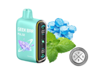 Geek Bar Pulse 15000 Disposable _ 15k Puffs Stonemintz
