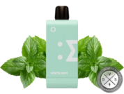 Off-Stamp SW16000 Disposable Vape _ 16K Puffs Winter Mint
