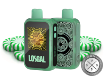 LOSGAL MC25000 by Lost Mary Vape Miami Mint