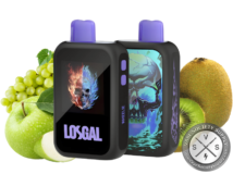 LOSGAL MC25000 by Lost Mary Vape Wheelie