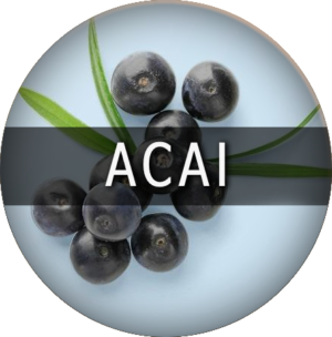 Acai Flavor
