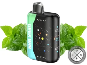 Geek Bar Pulse X Disposable Vape _ 25K Puffs ATL Mint-1