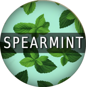 Spearmint