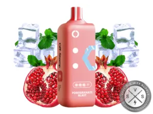 Off-Stamp X-Cube Ice Cube Pomegranate Blast pod with pomegranates, ice cubes and mint leaves