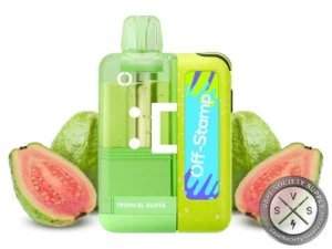 Off Stamp X-Cube Disposable Vape Kit _ 25K Puffs Tropical Guava