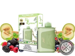 RAZ RYL Classic Disposable _ 35K Puffs Wild Berry Dew