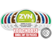 [10-Pack] ZYN POUCHES