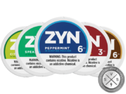 ZYN POUCHES