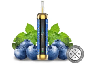 Olit HookaLit Pro 60K Puffs Disposable Blueberry Mint