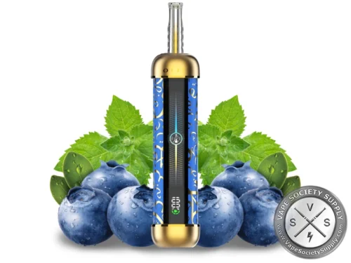Olit HookaLit Pro 60K Puffs Disposable Blueberry Mint