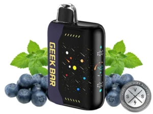 Geek Bar Hookah X 25k Disposable Blueberry Mint