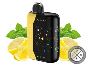 Geek Bar Hookah X 25k Disposable Lemon Mint