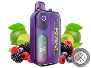 Pod Salt Hit 40K Puff Disposable Berry Lime Ice