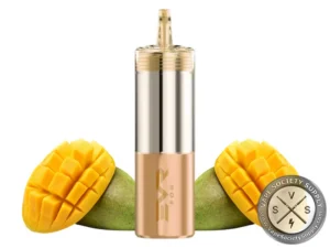 EVR Fog100k Vape Pod Mexico Mango-1